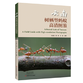 ���Ϙ䗫��Λρ����D�b