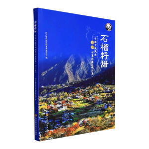 ʯ������