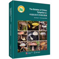 �Ї�(gu��)����ţ�ξ�������Ӣ�İ棩