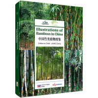 �Ї����ֲ��D�b��Ӣ�İ棩