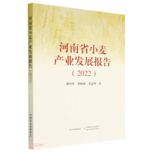 ����ʡС���a(ch��n)�I(y��)�l(f��)չ��棨2022��