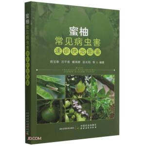 ���ֳ�Ҋ���x�����\���ΈD�b