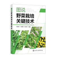 �D�fҰ�������P�I���g