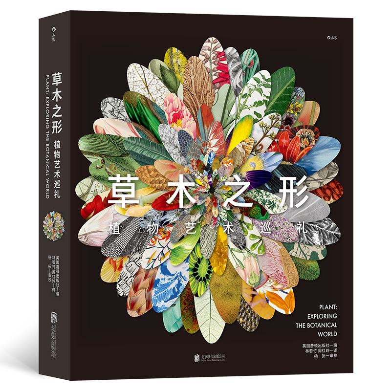 ��ľ֮�Σ�ֲ��ˇ�g(sh��)Ѳ�Y