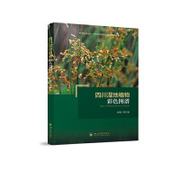 �Ĵ����ֲ���ɫ�D�V