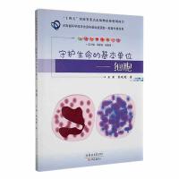 ���o�����Ļ�����λ