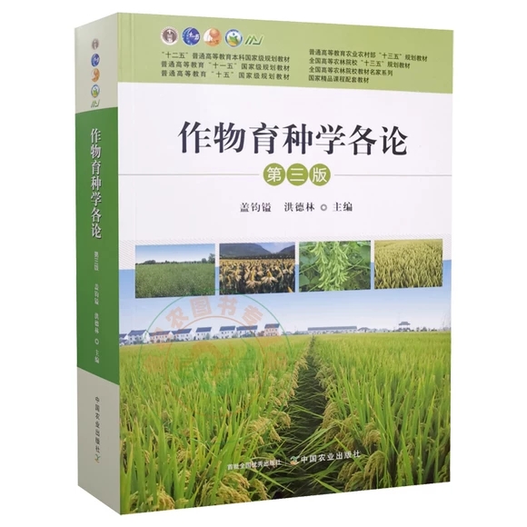 �������N�W��Փ