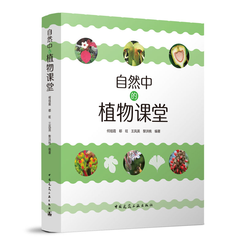 ��Ȼ�е�ֲ���n��