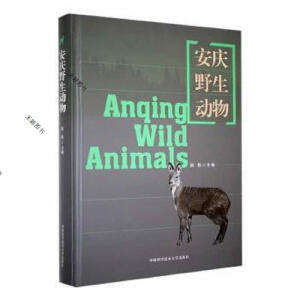 ���cҰ����(d��ng)��