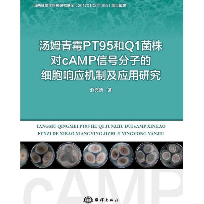 ��ķ��ùPT95��Q1���ꌦ(du��)cAMP��̖(h��o)���ӵļ�(x��)��푑�(y��ng)�C(j��)�Ƽ���(y��ng)���о�