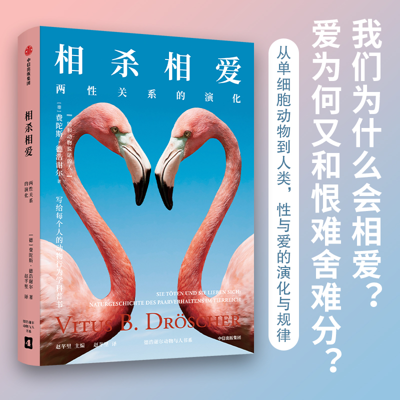 ��������(��i)