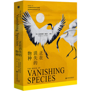 ������ʧ����N