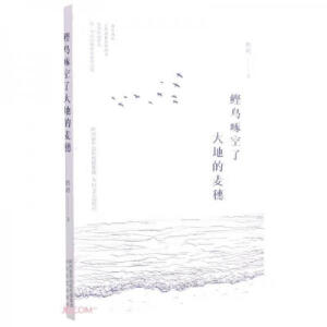 ���B(ni��o)�Ŀ��˴�ص�����