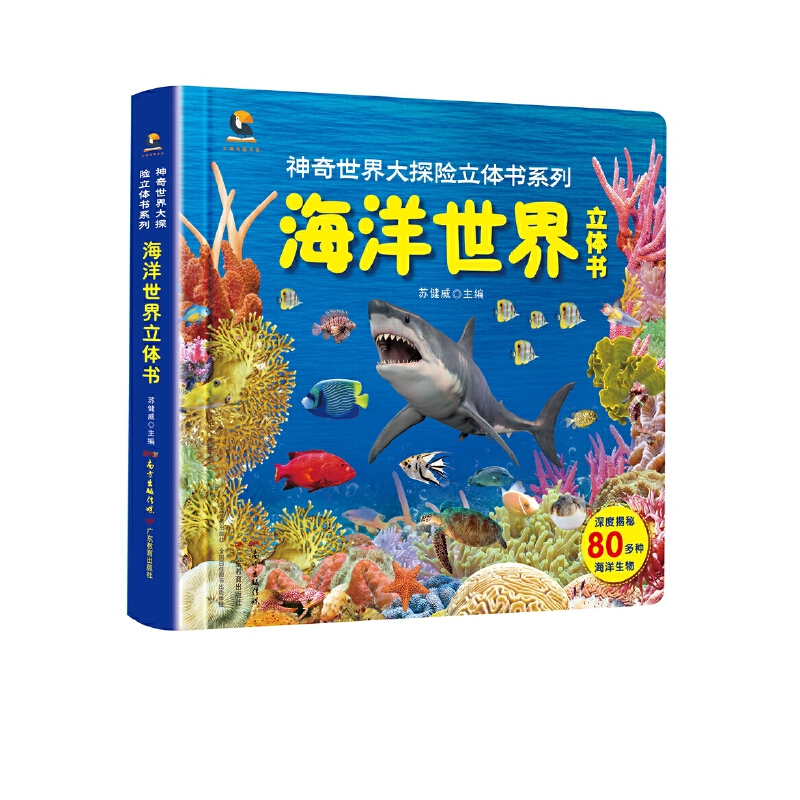 ���������̽�U���w��ϵ�У������������w��