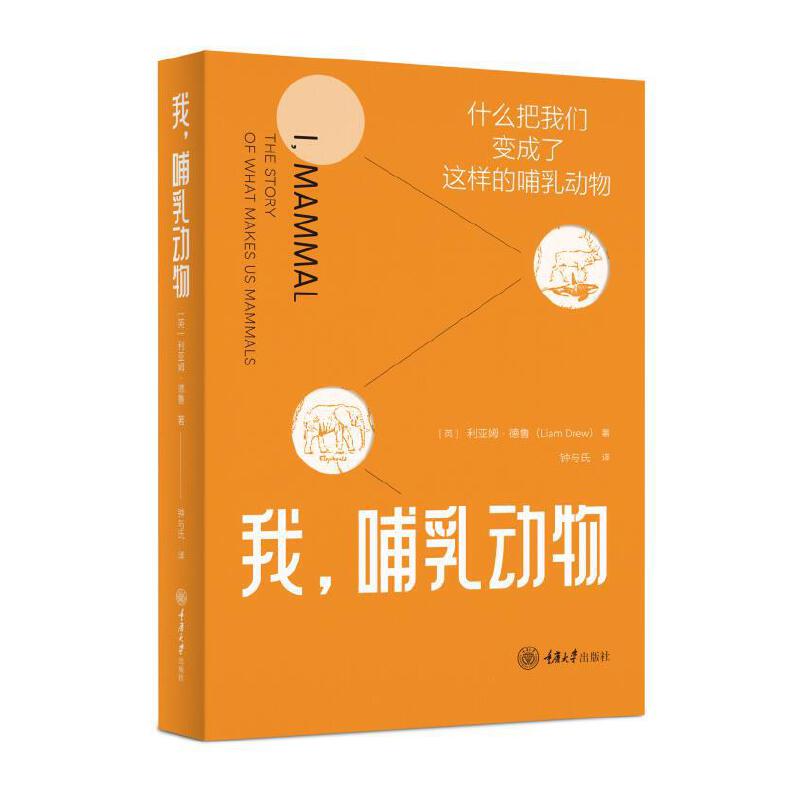 �����������