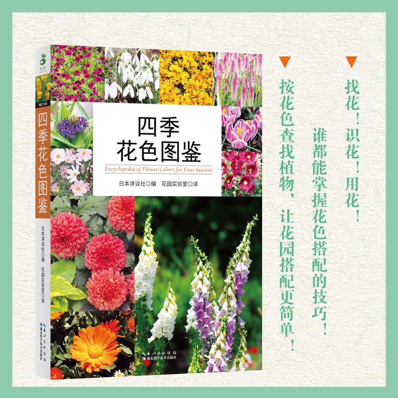 �ļ���ɫ�D�b