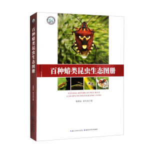 �ٷN������x���B(t��i)�D��(c��)