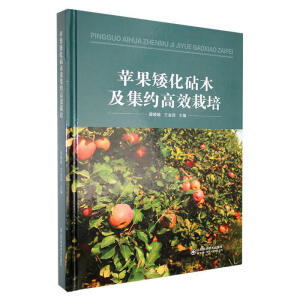 �O��������ľ�����s��Ч����