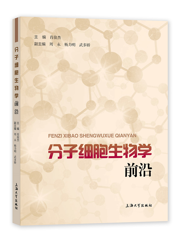 ���Ӽ�������Wǰ��