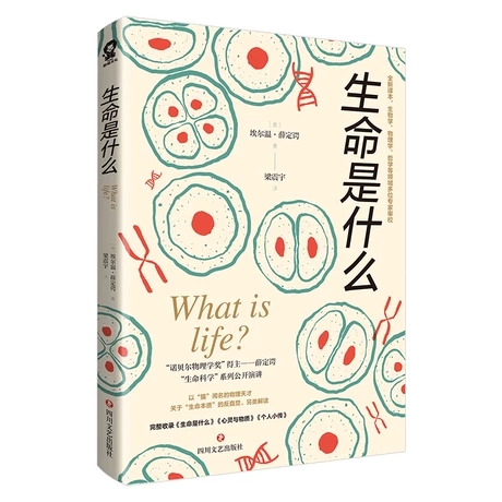 ������ʲô