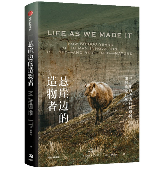 ����߅��������