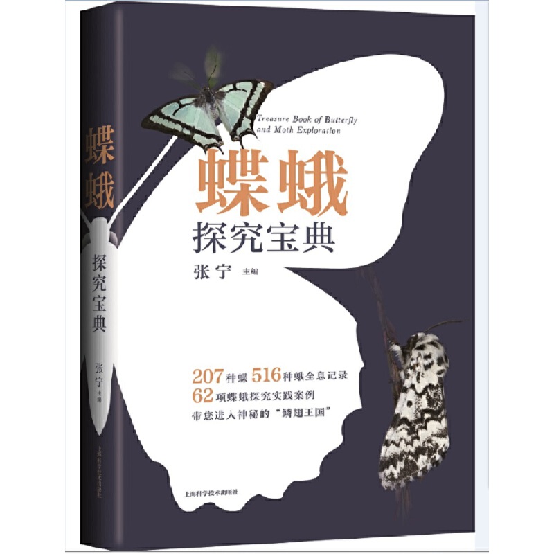 ����̽������