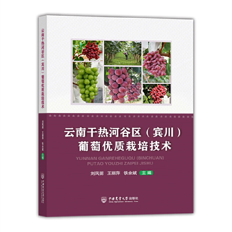 ���ϸɟ�ӹȅ^(q��)(�e��) ���у�(y��u)�|���༼�g