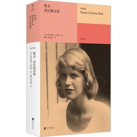 ���`������˹Ԋ(sh��)��