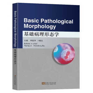 ���A(ch��)�����ΑB(t��i)�W(xu��)