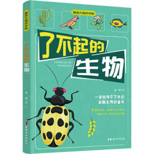 �˲��������