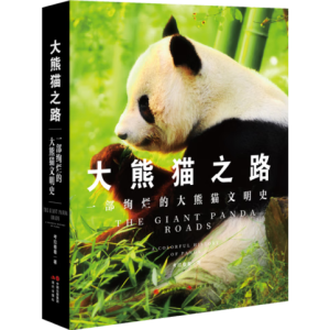 ����؈֮·��һ���k���Ĵ���؈����ʷ