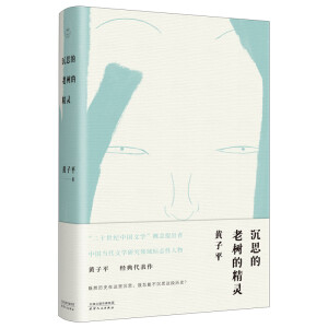 ��˼���Ϙ�(sh��)�ľ��`���ČW(xu��)�u(p��ng)Փ���S��ƽ�������ϼ����S��(sh��)��ٛ(z��ng)�ؕ�(sh��)Ʊ��