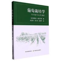 ���������W