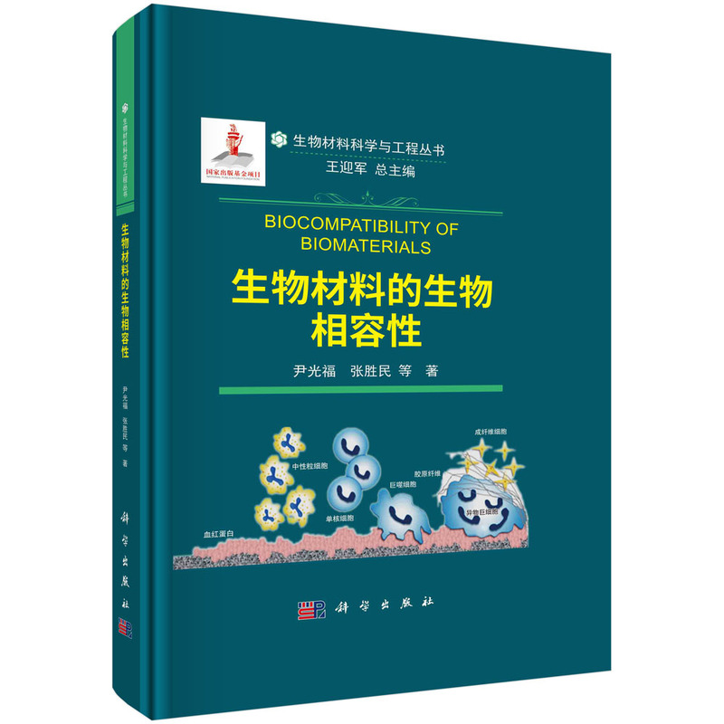 ������ϵ�����������