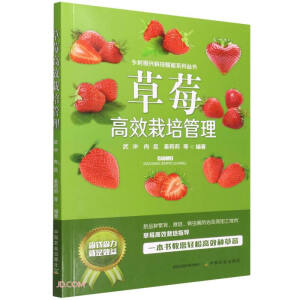 ��ݮ��Ч�������