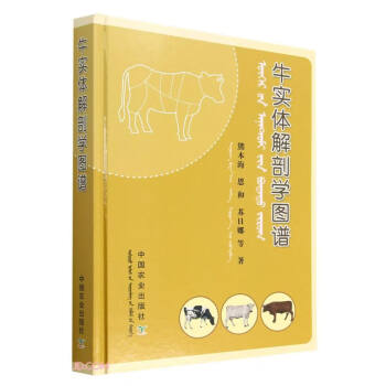 ţ���w���ʌW(xu��)�D�V