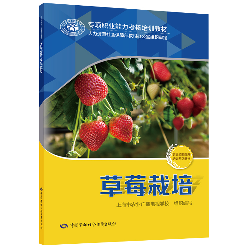 ��ݮ����