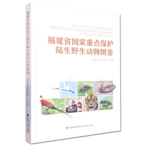 ����ʡ�������c(di��n)���o(h��)���Ұ����(d��ng)��D�b