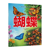 �����(d��ng)��������-����