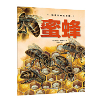 �������������-�۷�