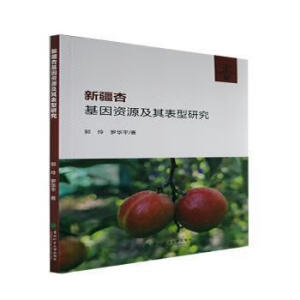 �½��ӻ����YԴ��������о�