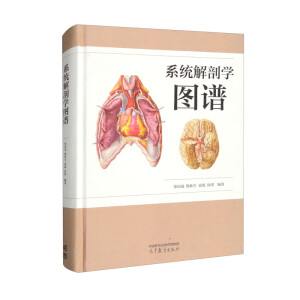 ϵ�y(t��ng)���ʌW�D�V