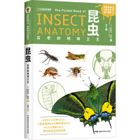 ���x�����ϵĵ���֮��