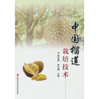 �Ї���ɏ���༼�g(sh��)