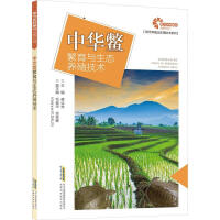 ���A�M�����c���B(t��i)�B(y��ng)ֳ���g(sh��)