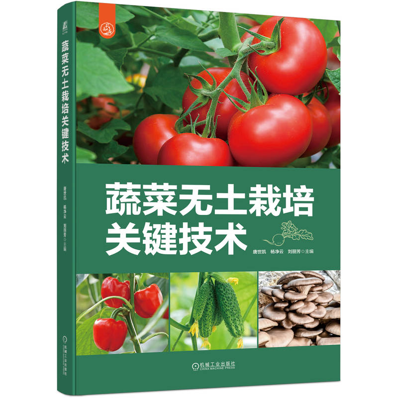 �߲˟o(w��)�������P(gu��n)�I���g(sh��)