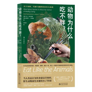 �����ʲô�Բ���