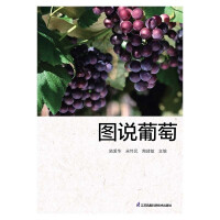 �D�f����