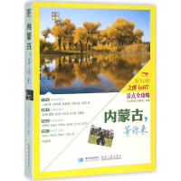 ���ɹ��������