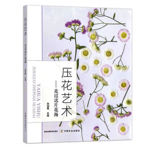 ����ˇ�g(sh��)